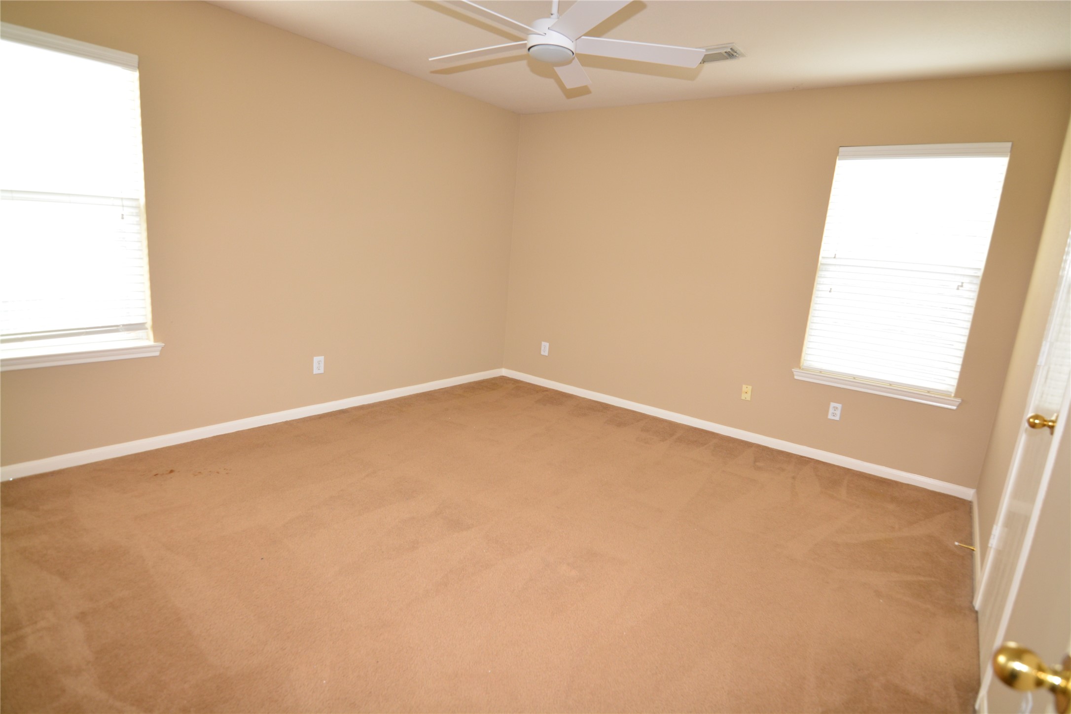 3903 Brighton Springs Lane Property Photo 20