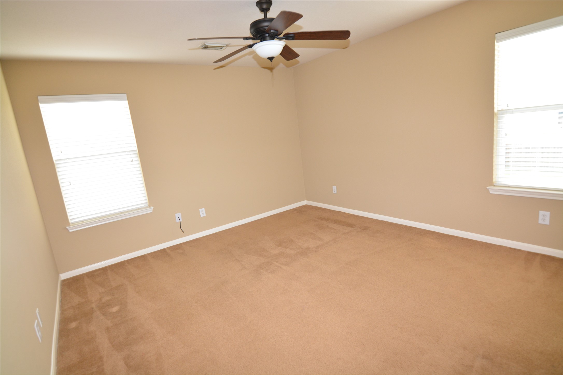 3903 Brighton Springs Lane Property Photo 22
