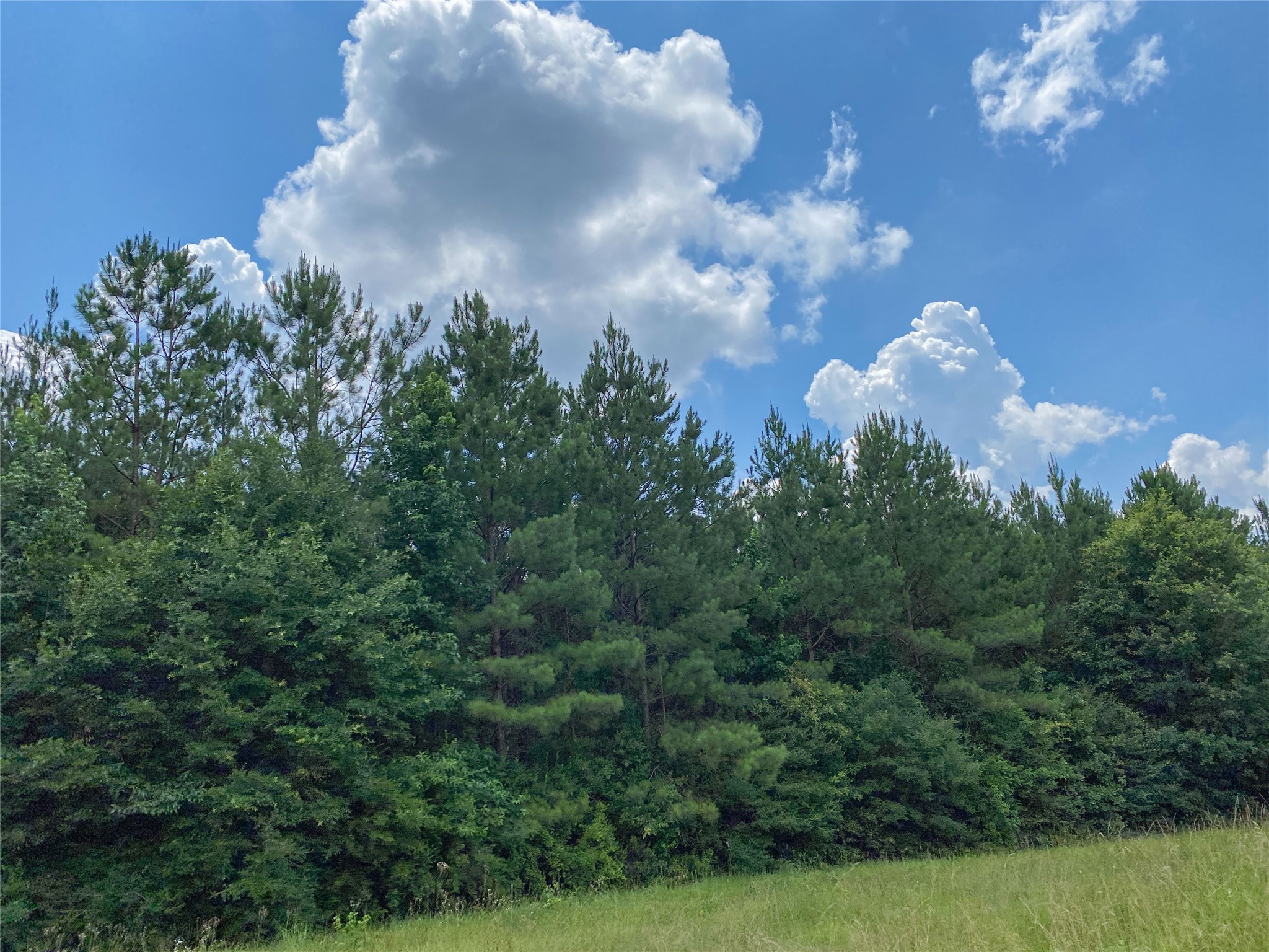 0 Us Hwy 59 Property Photo 3