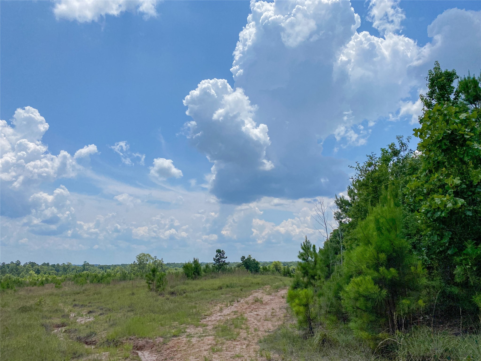 0 Us Hwy 59 Property Photo 8