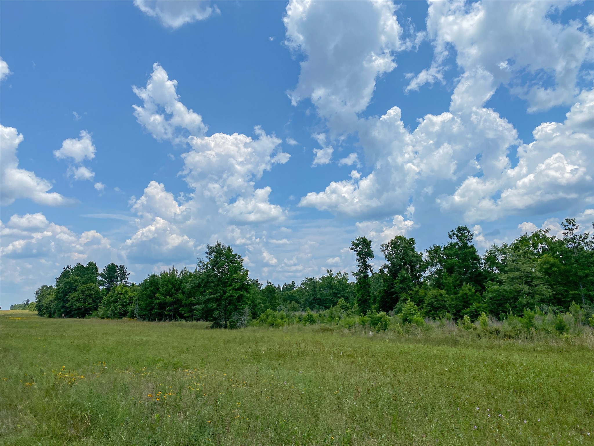 0 Us Hwy 59 Property Photo 11
