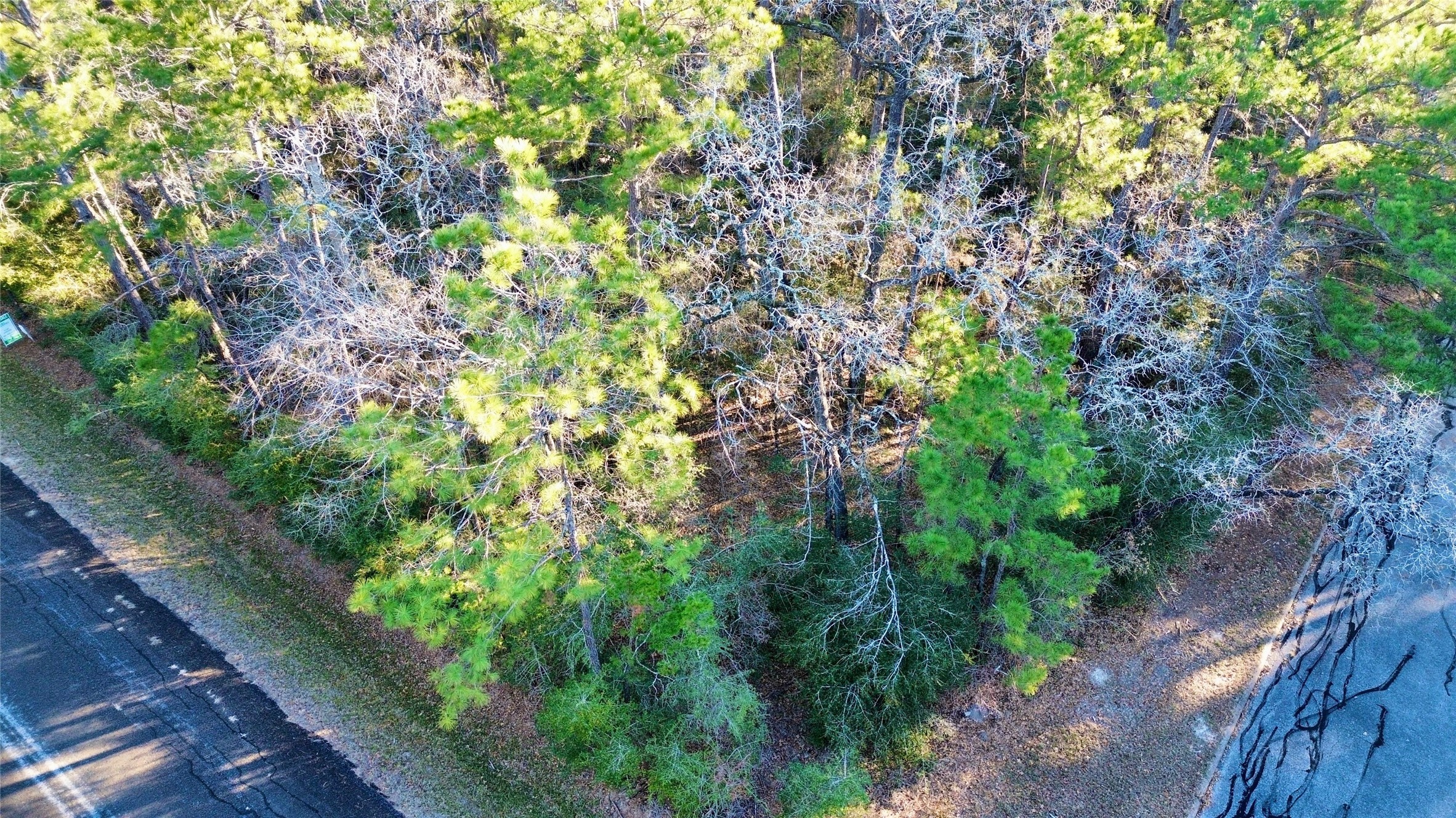 Tbd Ash Ct 1 Property Photo 2