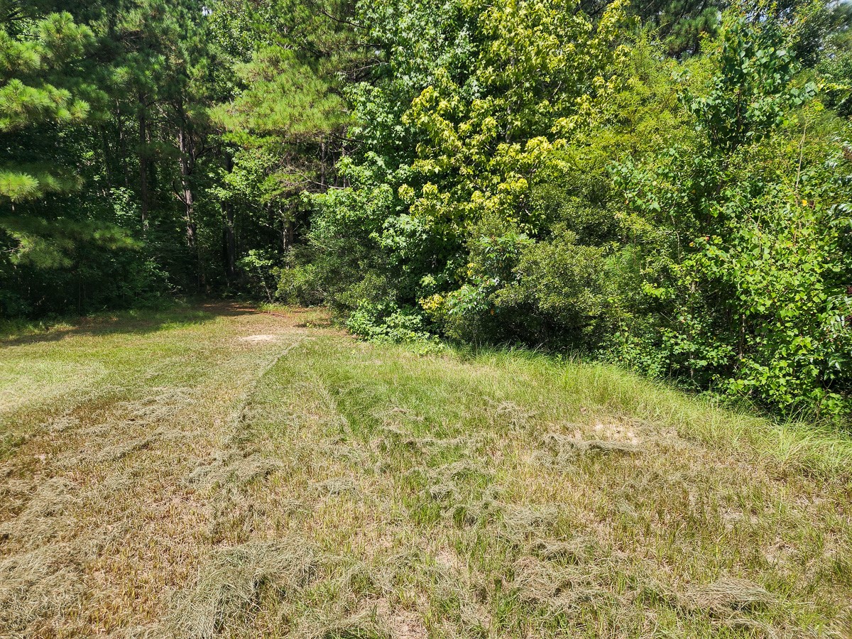216 Private Road 6046 Property Photo 1