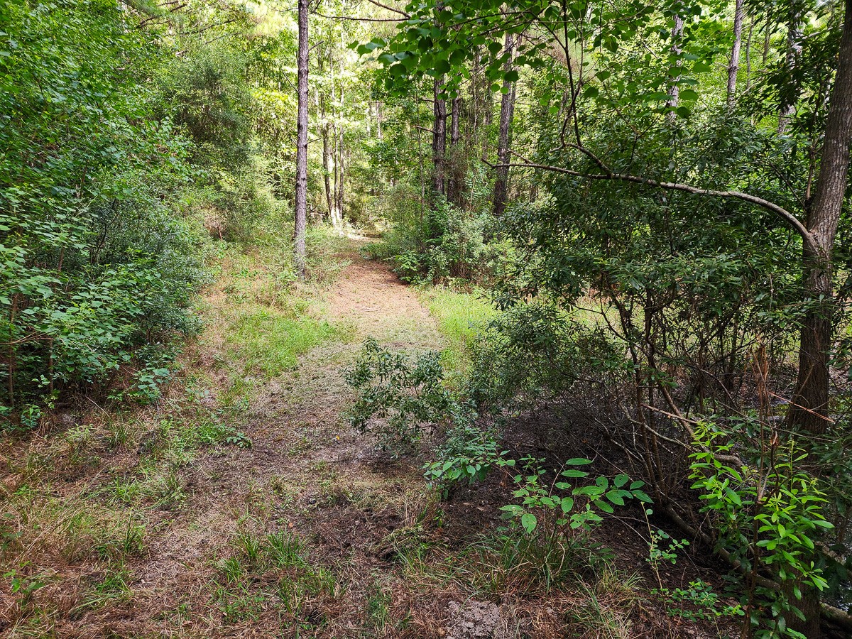 216 Private Road 6046 Property Photo 6