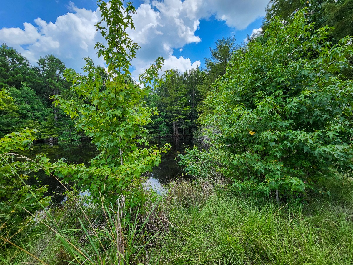 216 Private Road 6046 Property Photo 9