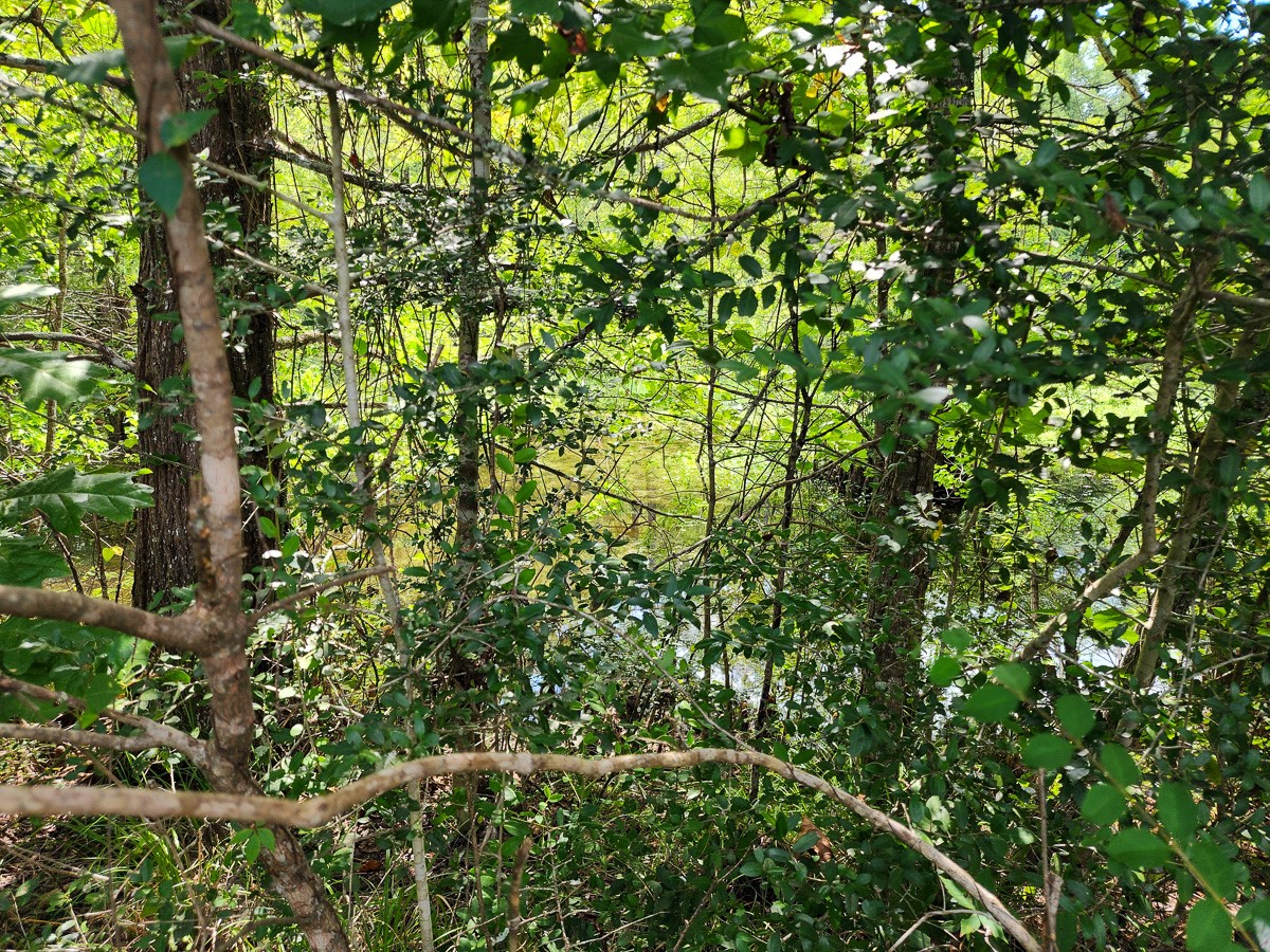216 Private Road 6046 Property Photo 10