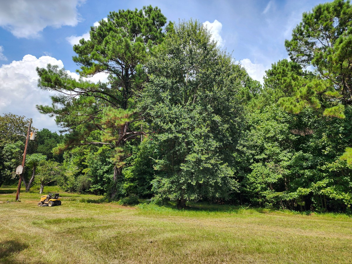 216 Private Road 6046 Property Photo 12