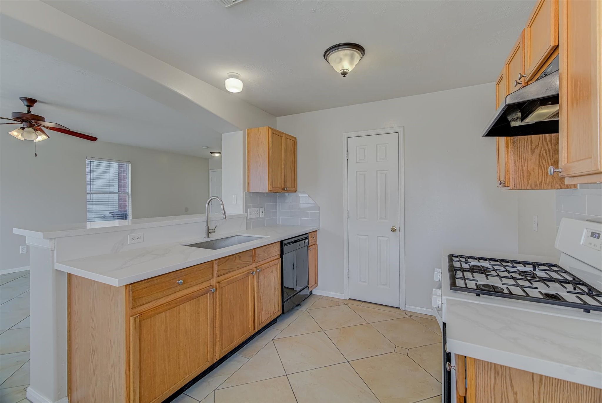 13983 Maximos Drive Property Photo 11