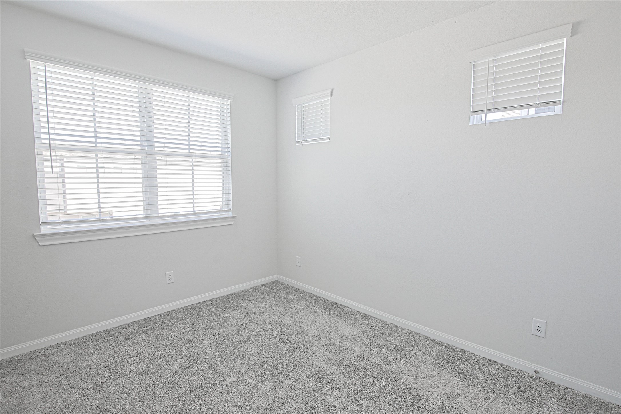 10005 Brickhouse Drive Property Photo 21