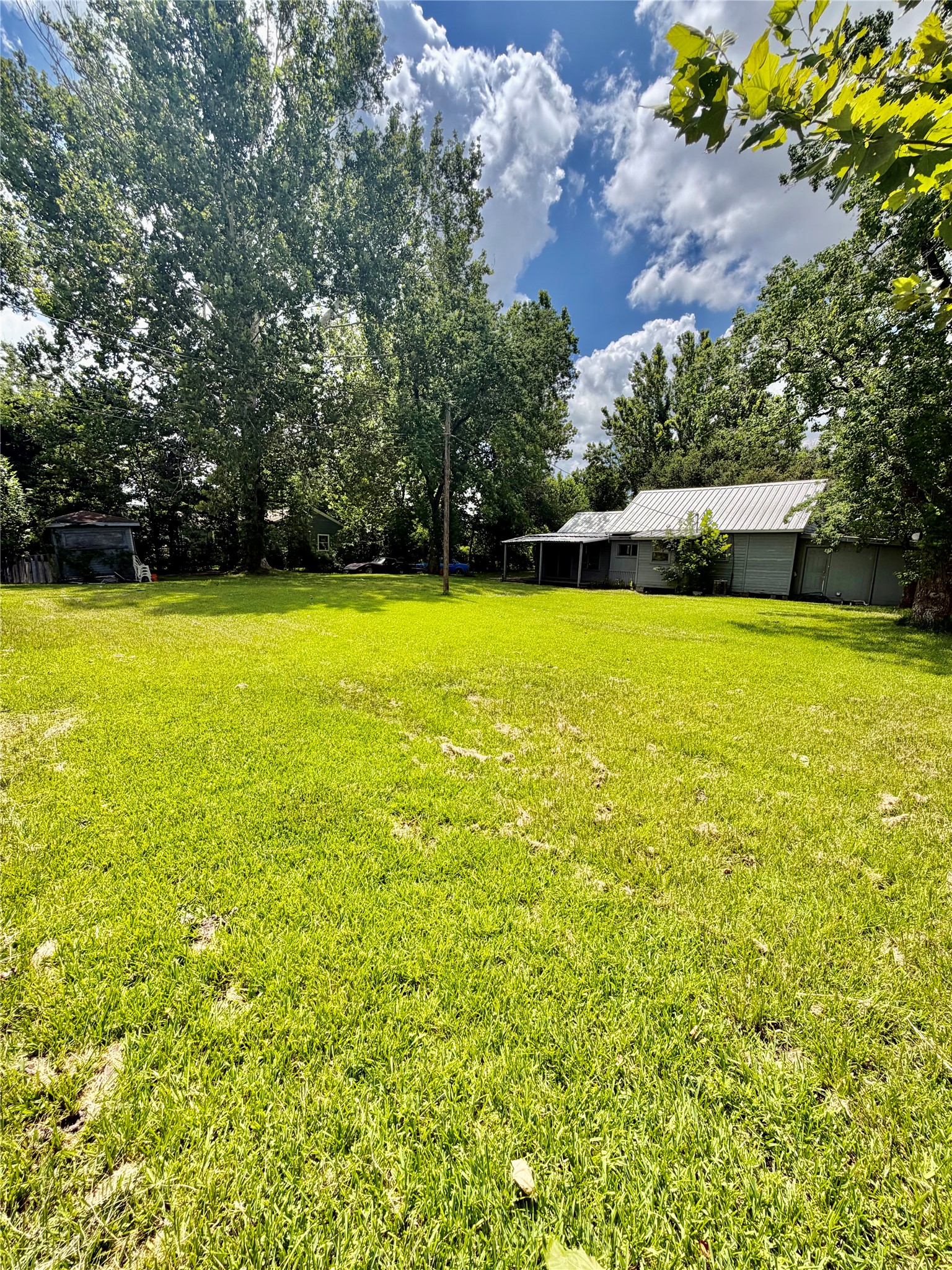 5603 Apgar Street Property Photo 11