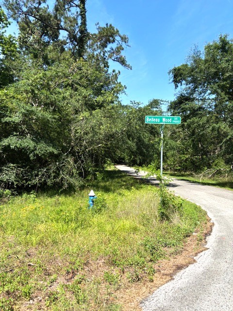 0 Belleau Wood Drive Property Photo 1