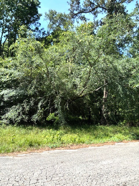 0 Belleau Wood Drive Property Photo 3