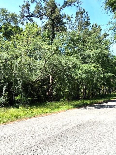 0 Belleau Wood Drive Property Photo 4