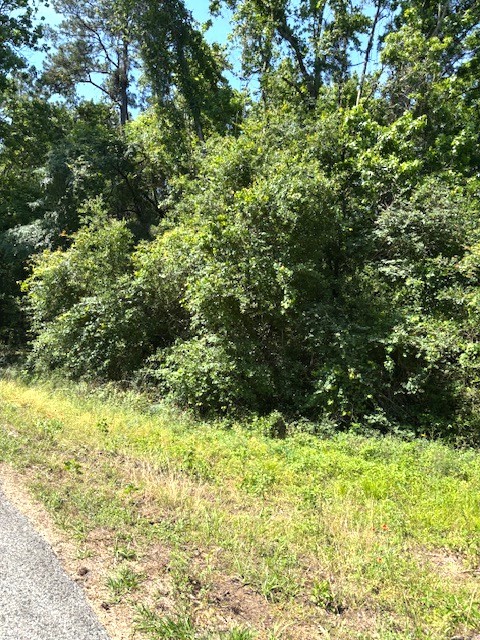 0 Belleau Wood Drive Property Photo 5