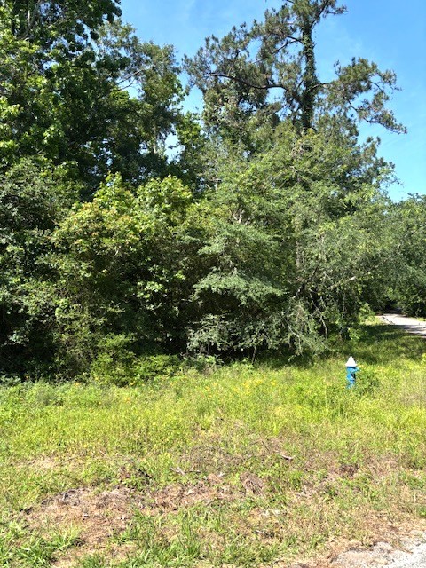 0 Belleau Wood Drive Property Photo 6