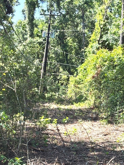 0 Belleau Wood Drive Property Photo 7