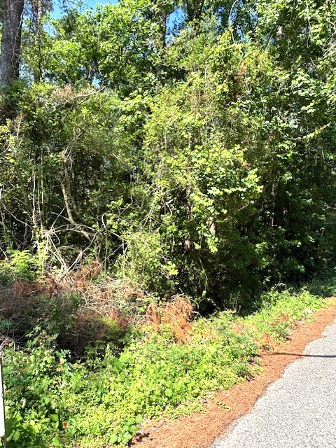 0 Belleau Wood Drive Property Photo 8