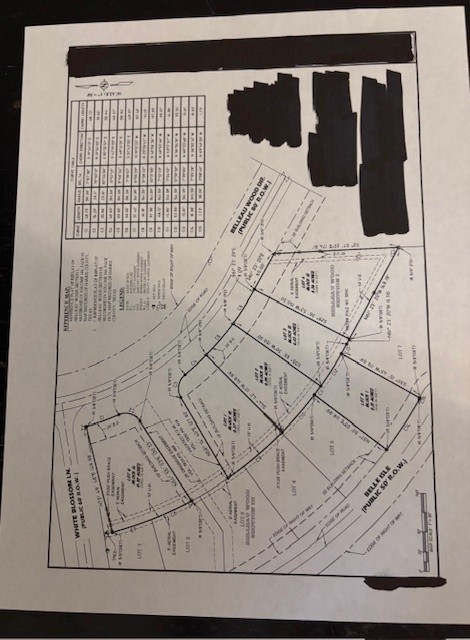 0 Belleau Wood Drive Property Photo 9