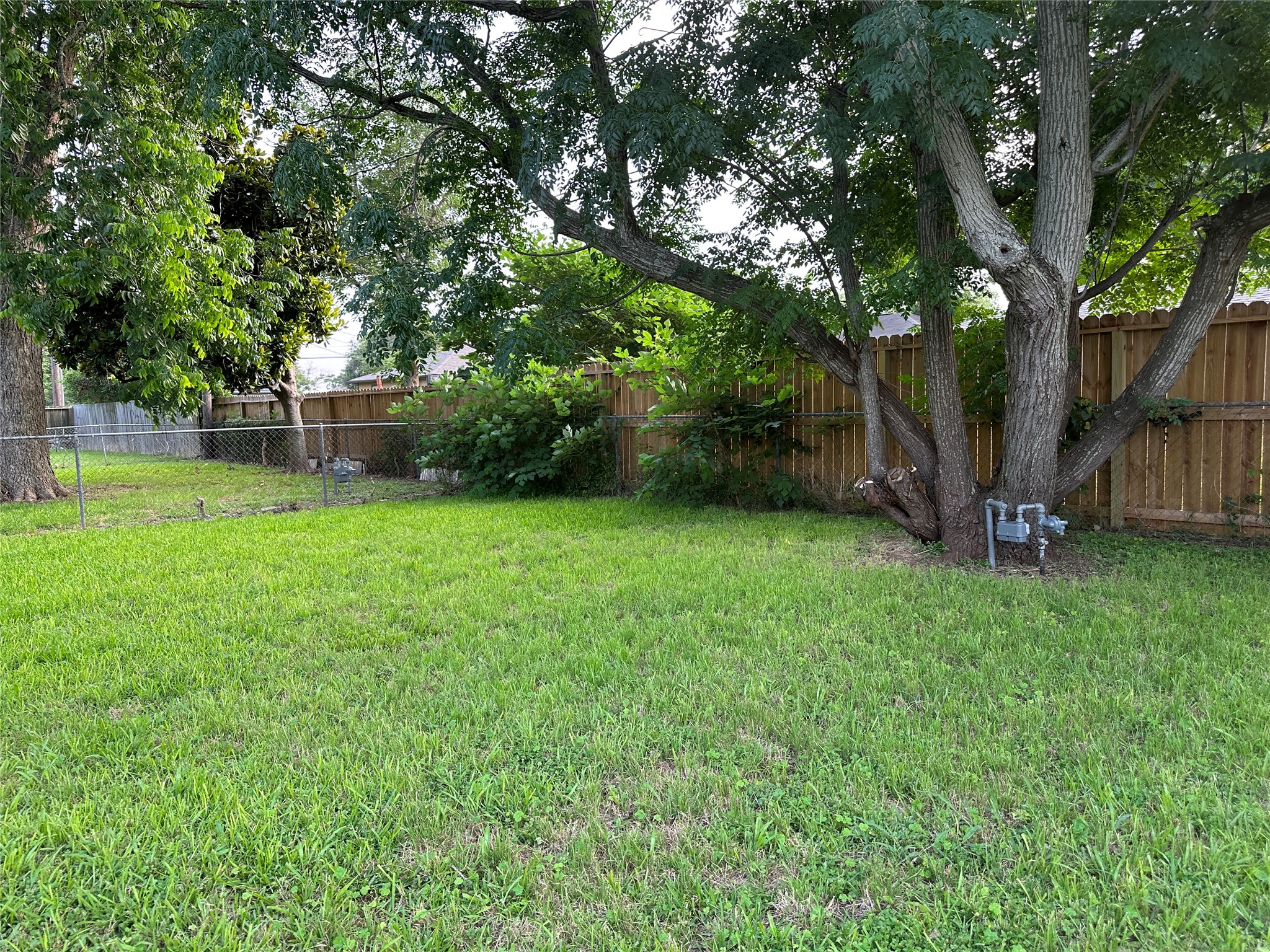 511 Guyer Street Property Photo 36