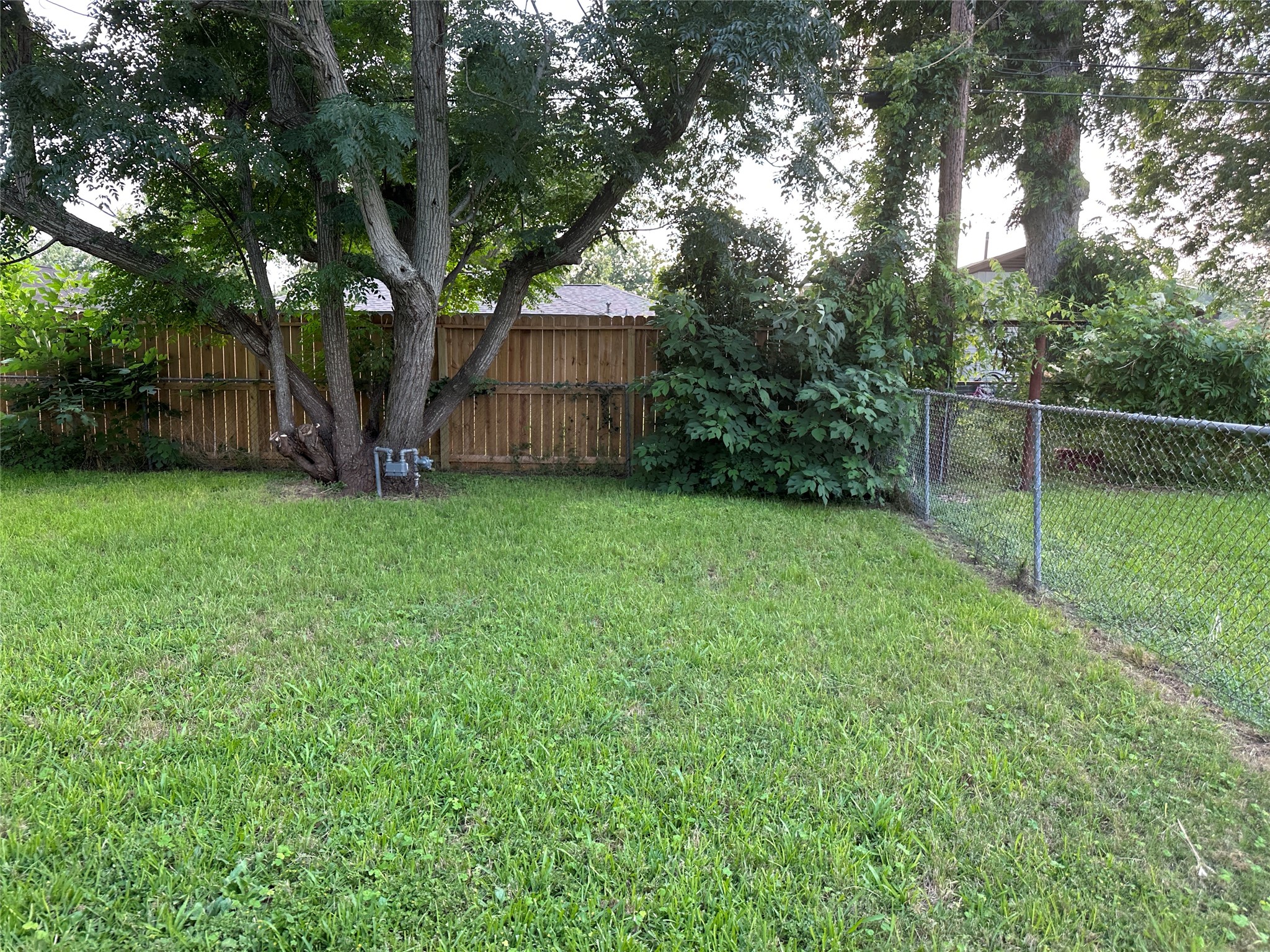 511 Guyer Street Property Photo 37