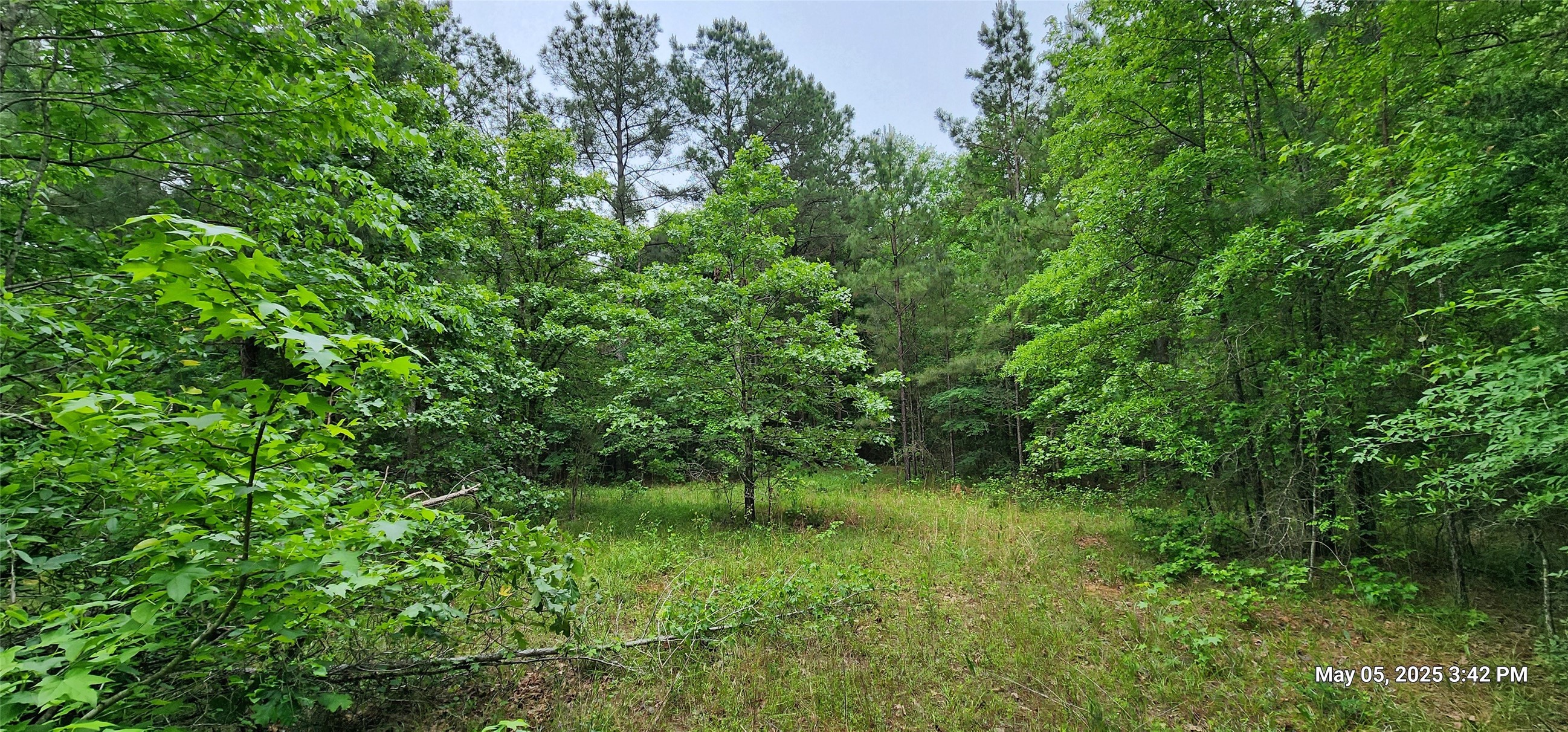 Tbd County Road 3230 Property Photo 1