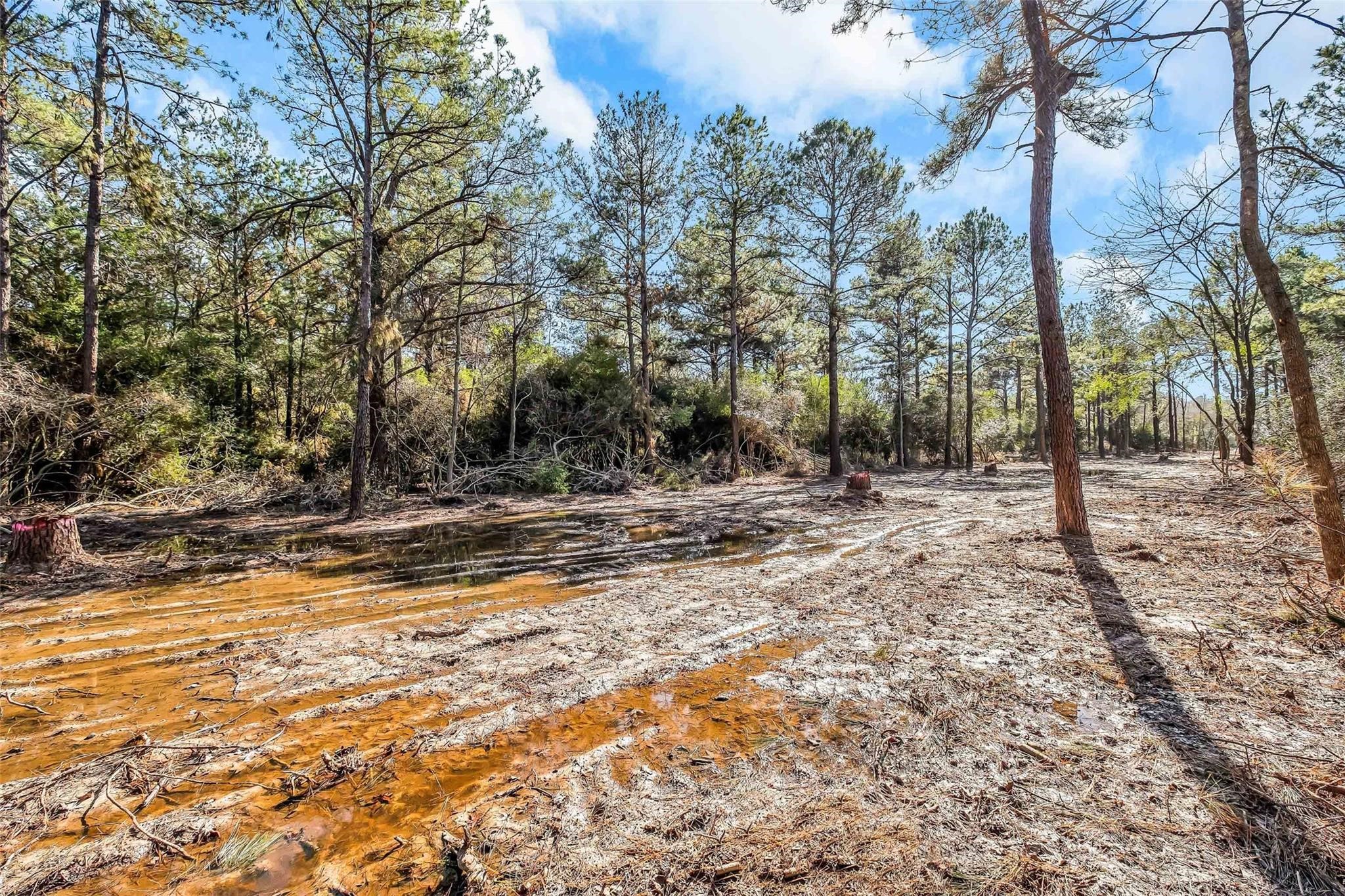 0 Hardy Rd 10133 Lt K Road Property Photo 2