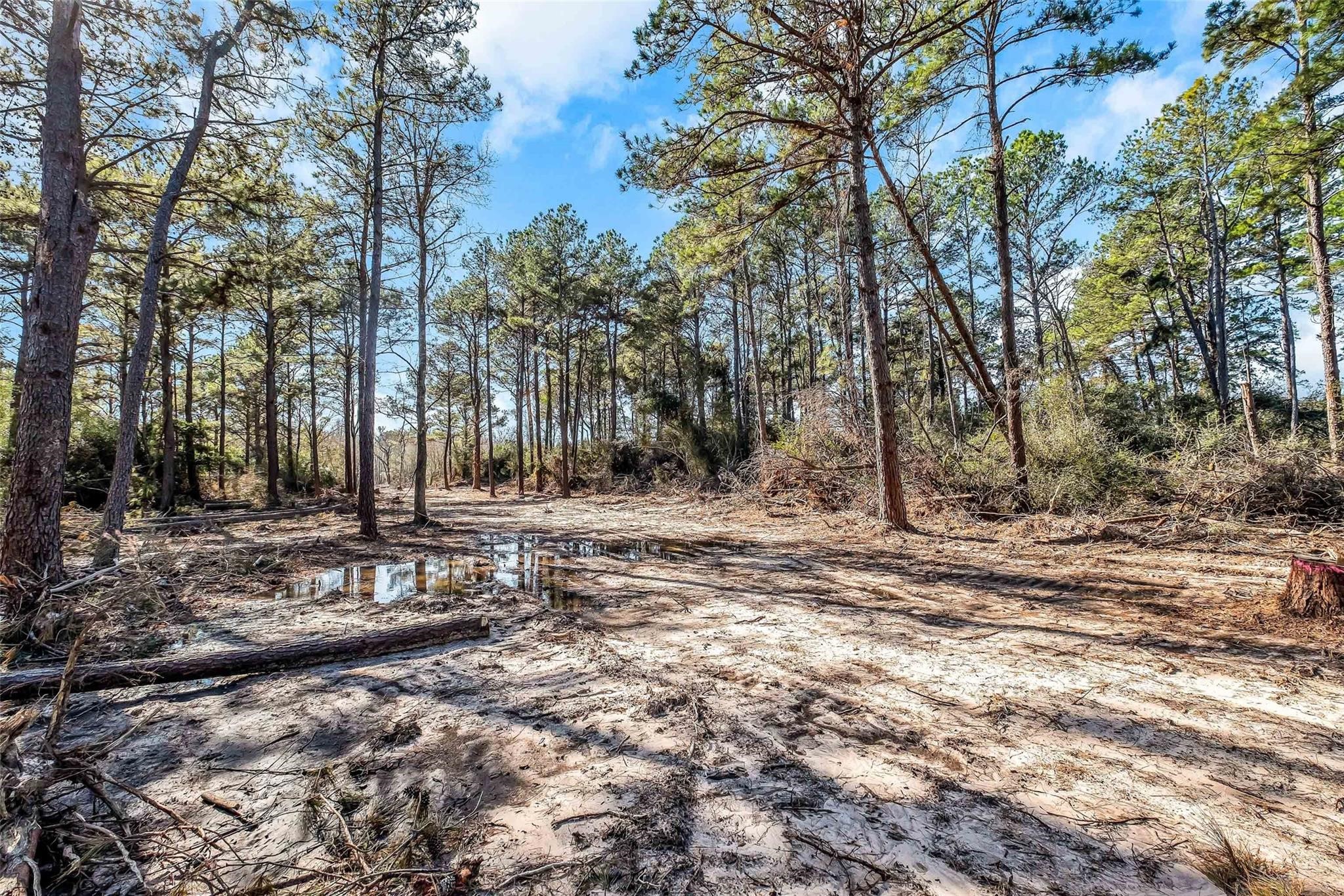 0 Hardy Rd 10133 Lt K Road Property Photo 3