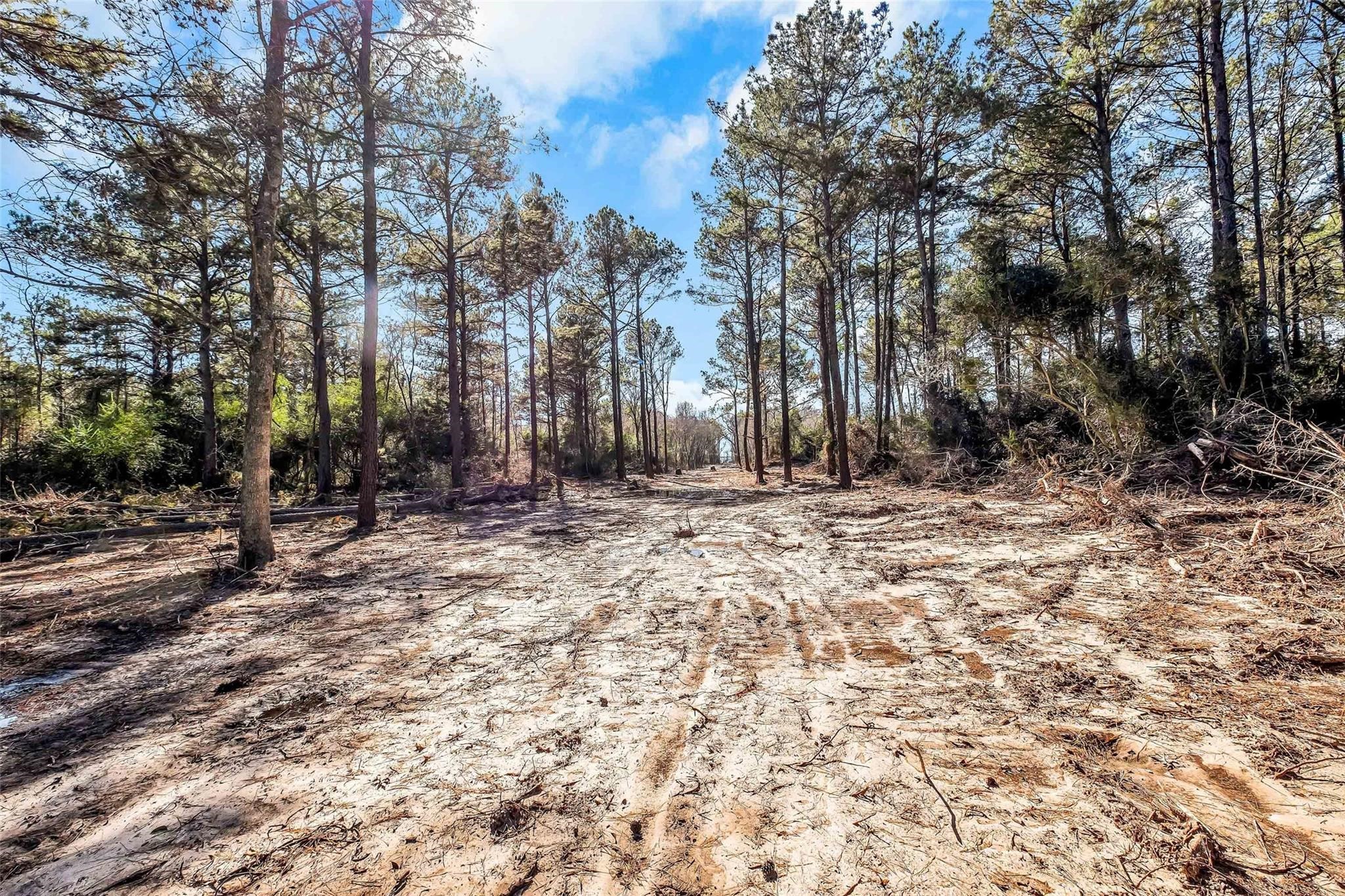 0 Hardy Rd 10133 Lt K Road Property Photo 4