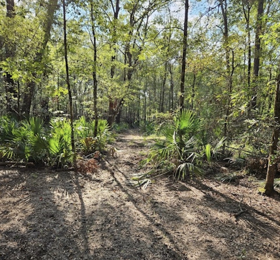 Tbd Brown Road Property Photo 11