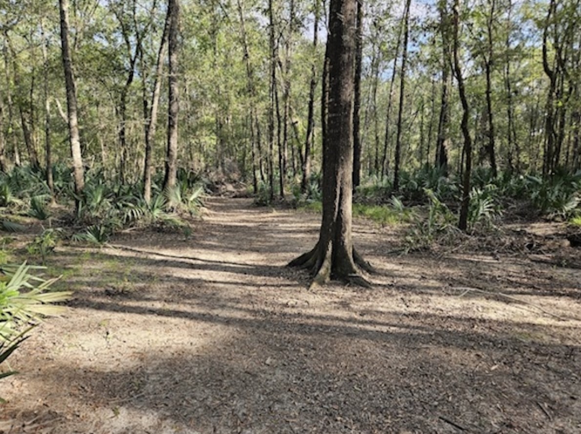 Tbd Brown Road Property Photo 12
