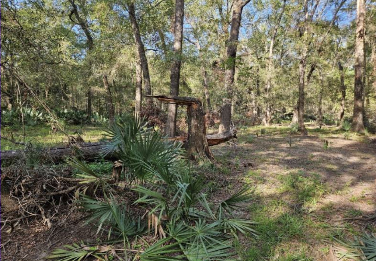 Tbd Brown Road Property Photo 13