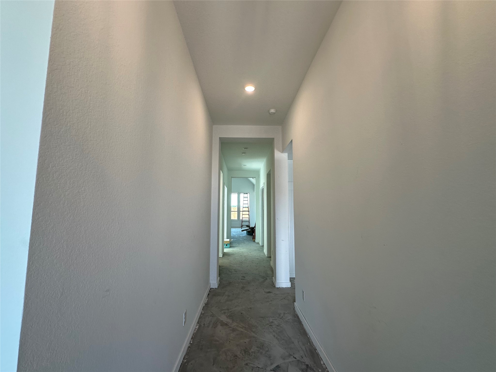 6446 Mahogany Branch Trail Property Photo 3