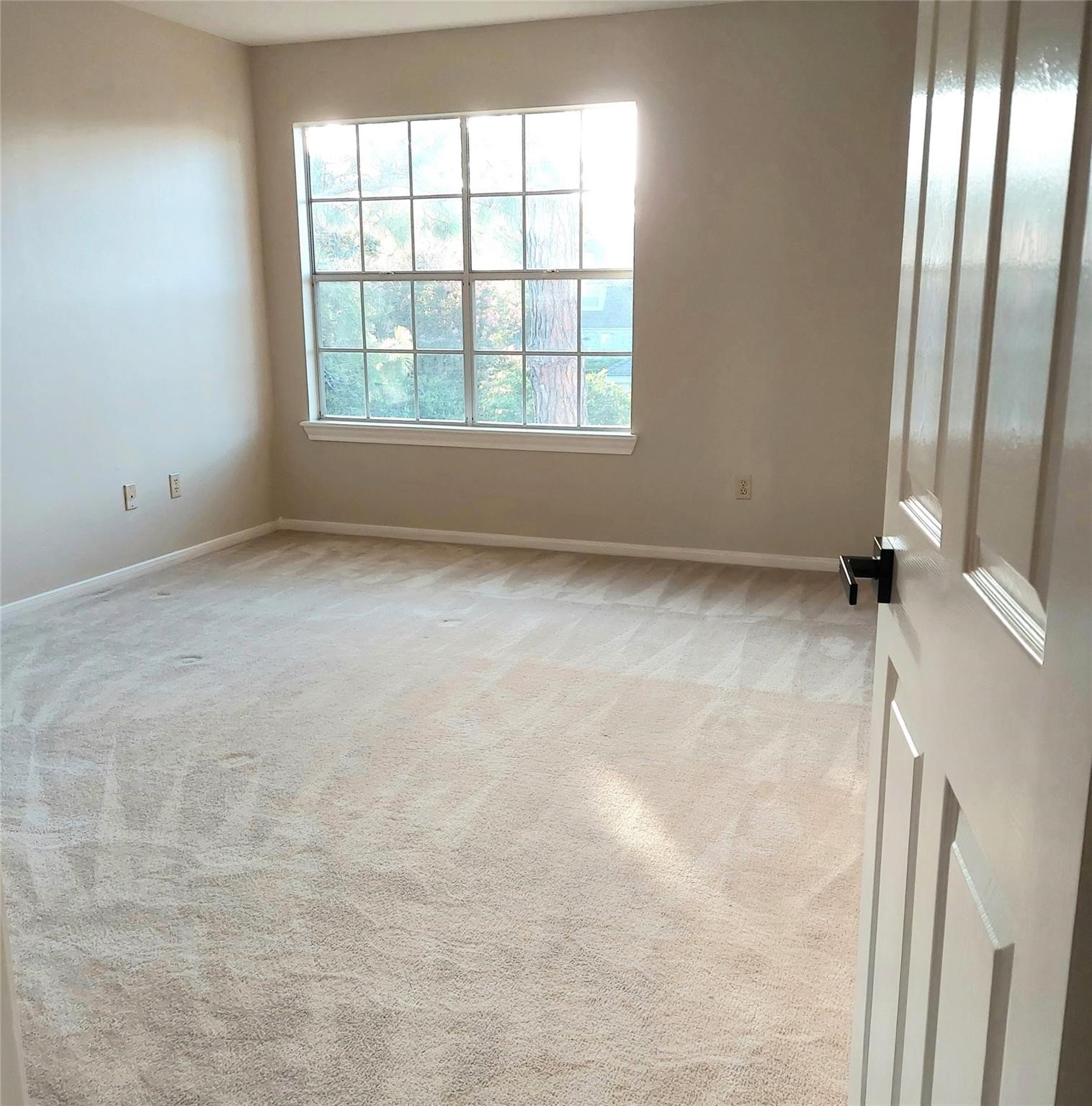 5523 Fragrant Cloud Drive Property Photo 29