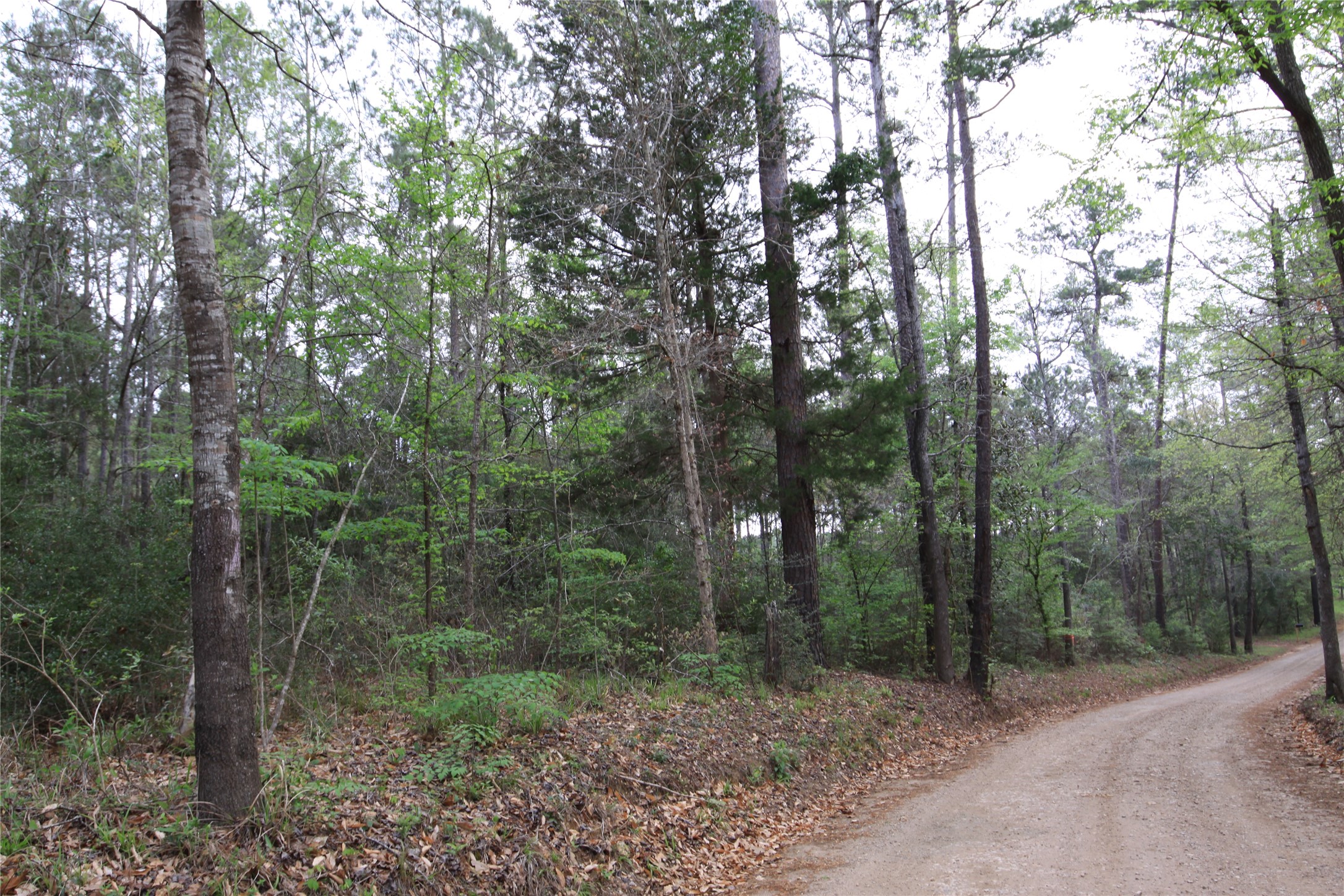 Tbd Cr 3160 Property Photo 7