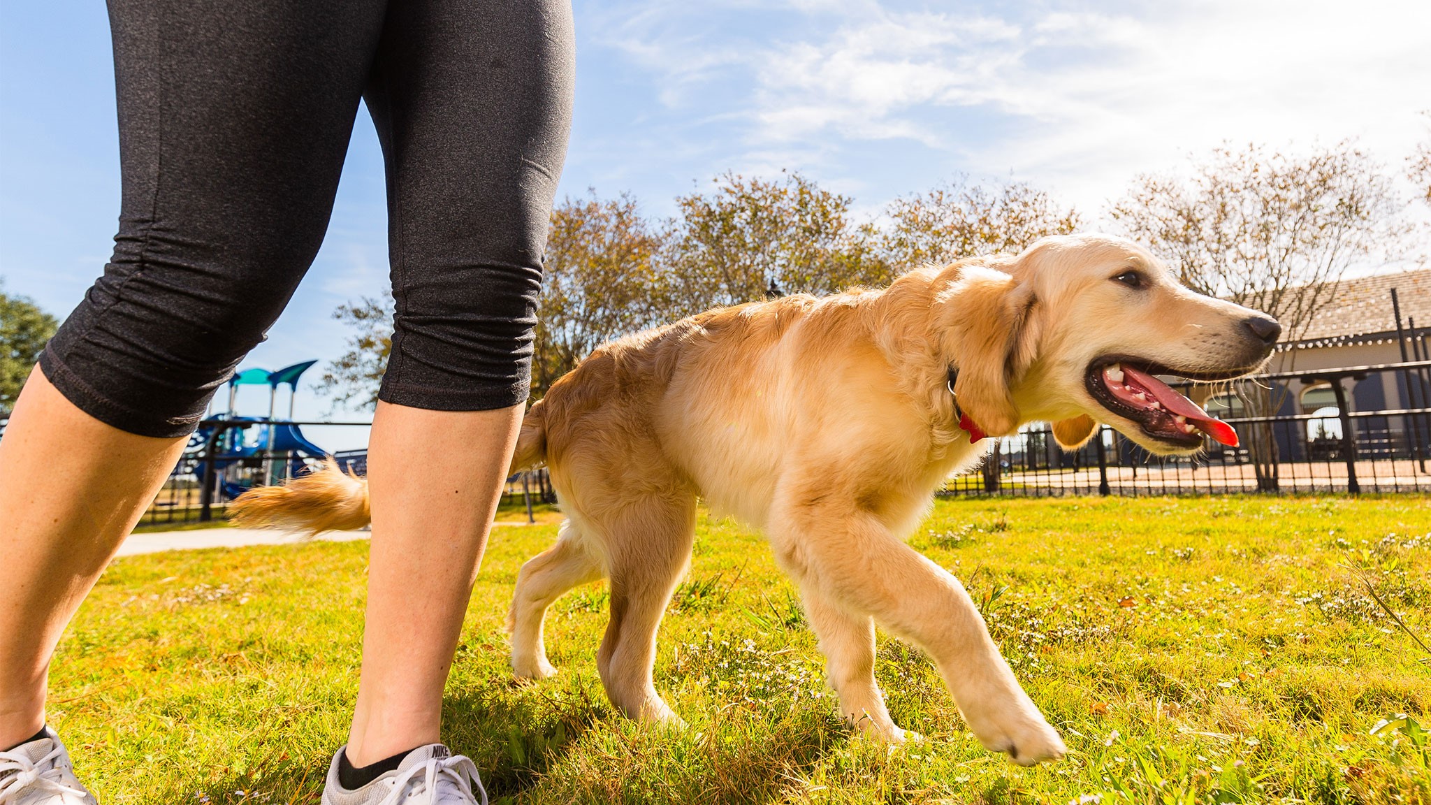 19835 Epona Creek Drive Property Photo 3