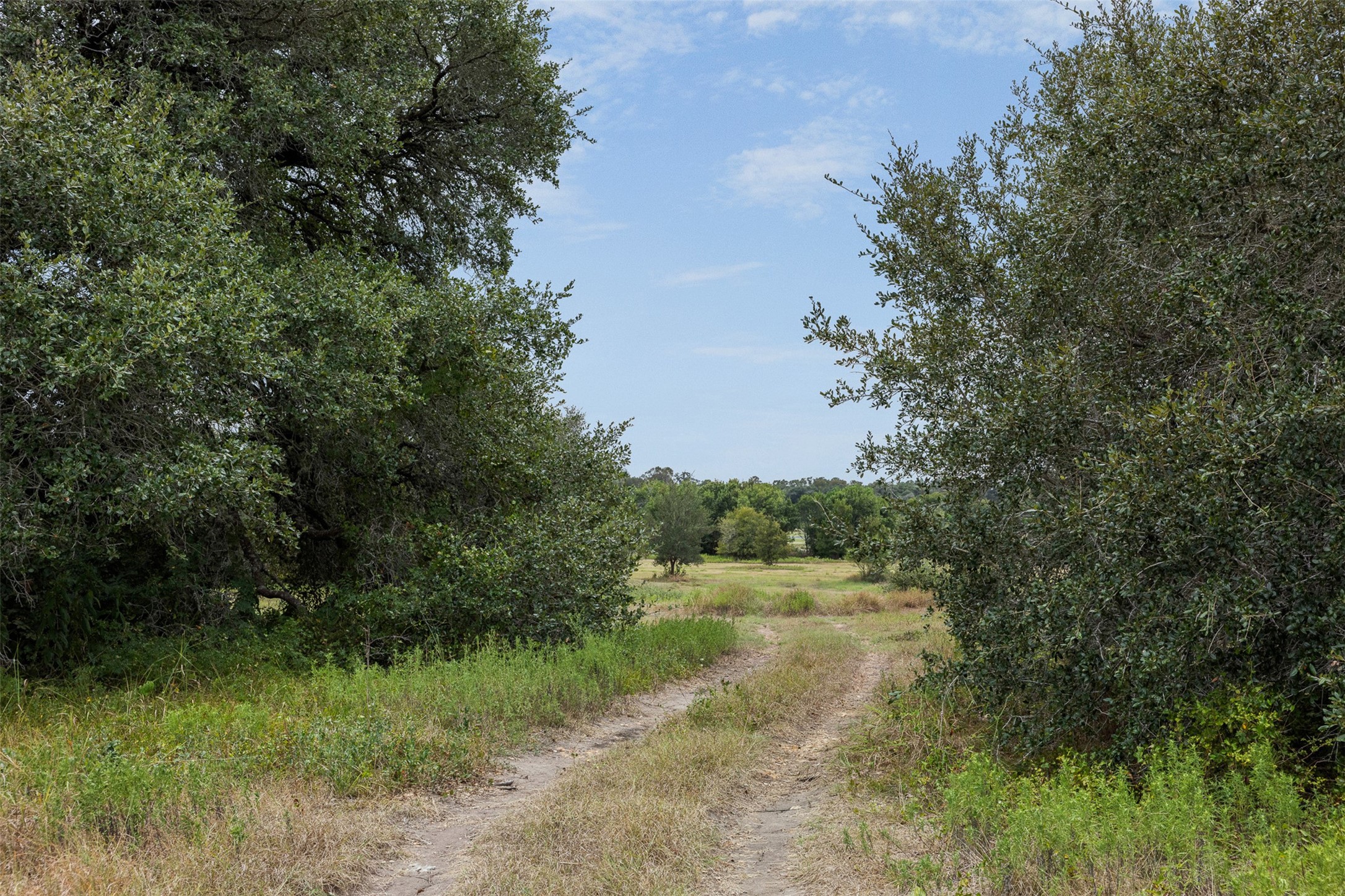 9365 Bauer Road Property Photo 1