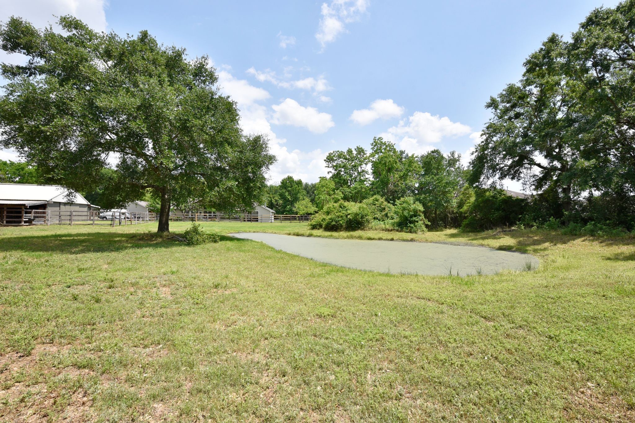 18729 Cypress Church Road Property Photo 43