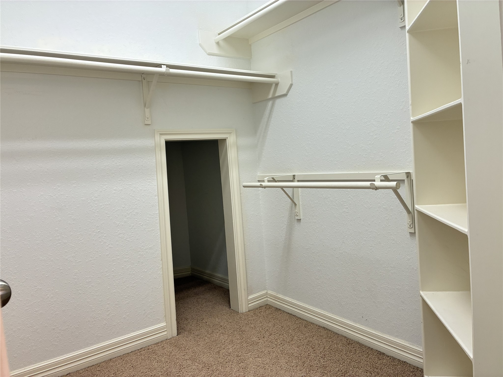 14207 Parable Lane Property Photo 15