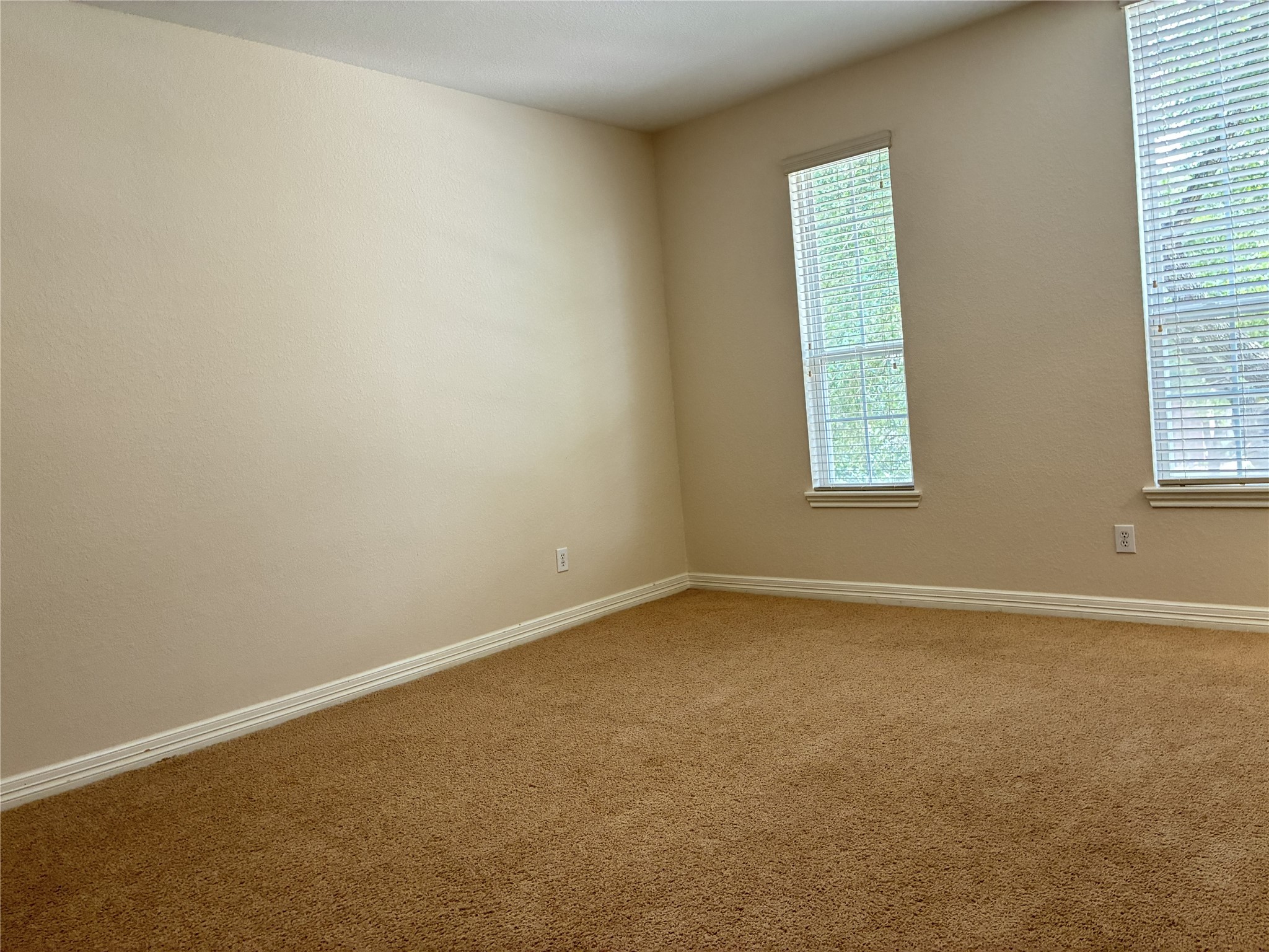 14207 Parable Lane Property Photo 20