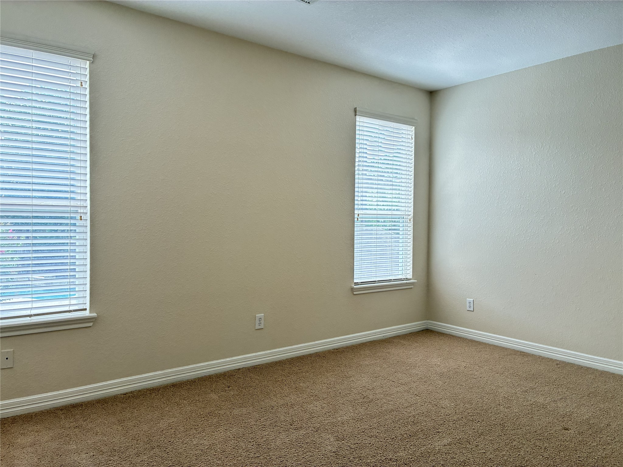 14207 Parable Lane Property Photo 22