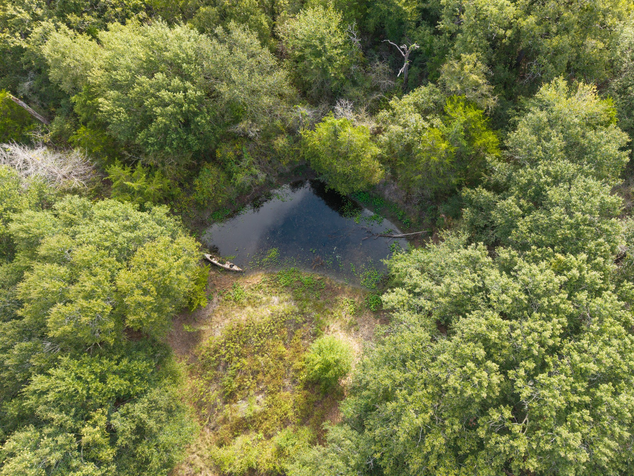 430 Pin Oak Drive Property Photo 4