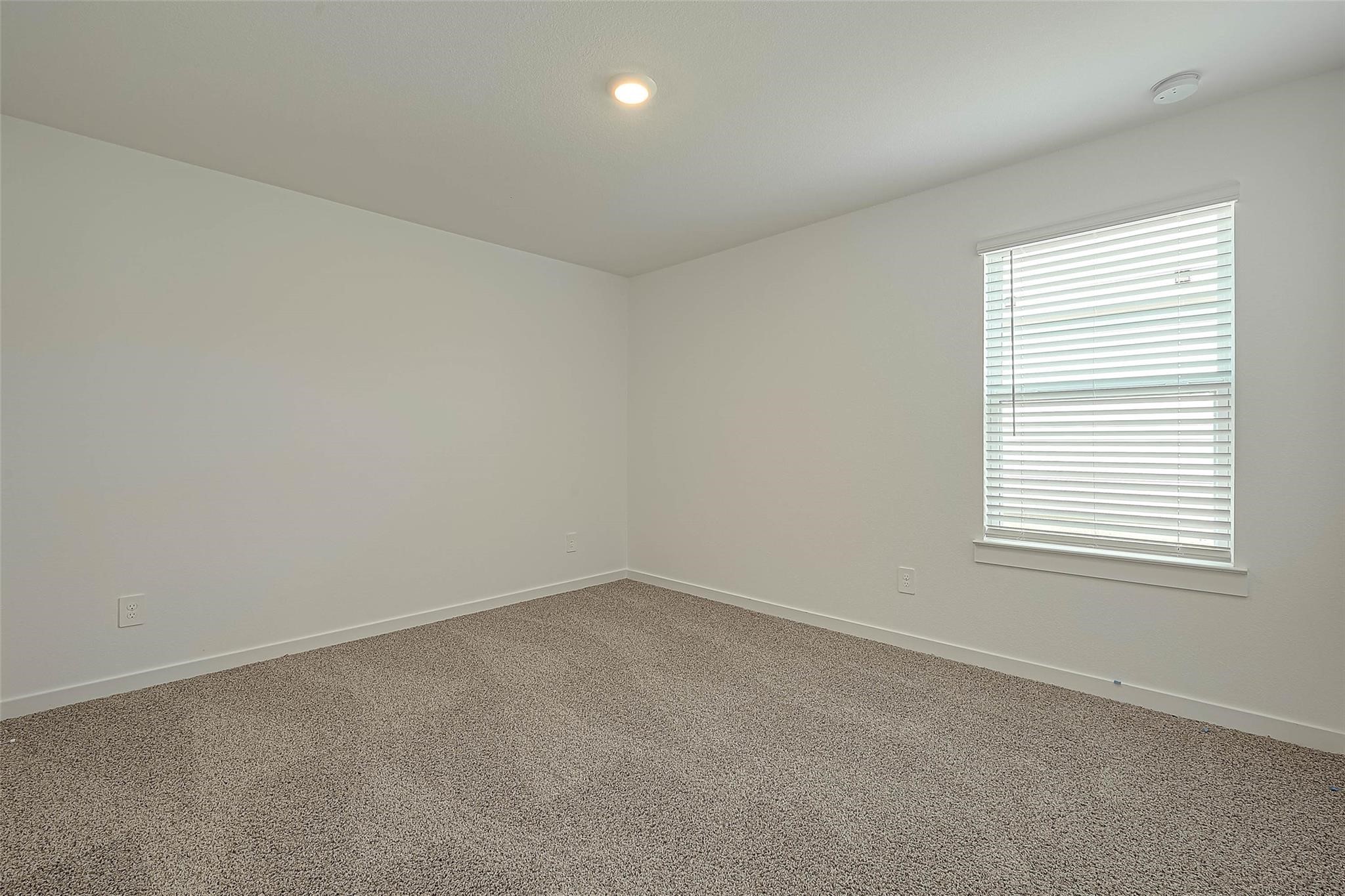 2732 Willow Gulch Way Property Photo 23