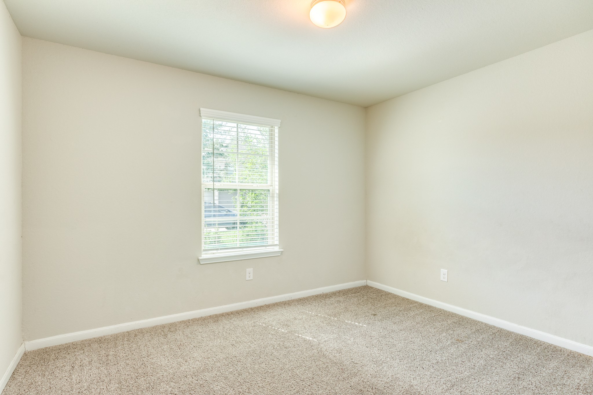 10323 Sill Prairie Drive Property Photo 19