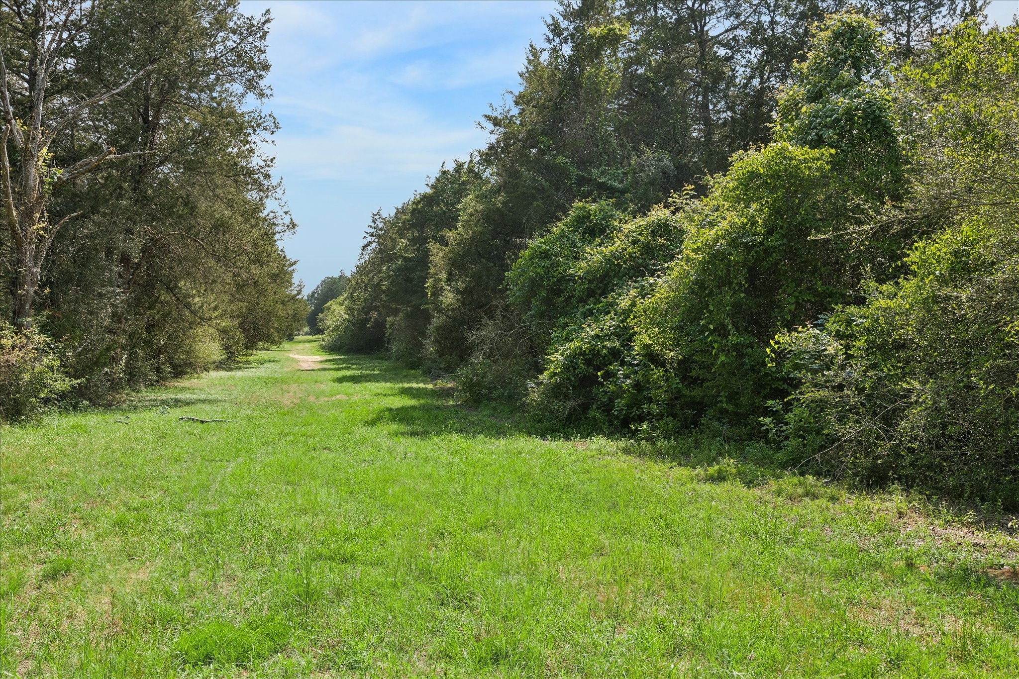 15946 Fm 1094 Property Photo 45