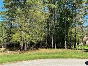 1513 Citron Court Property Photo 3