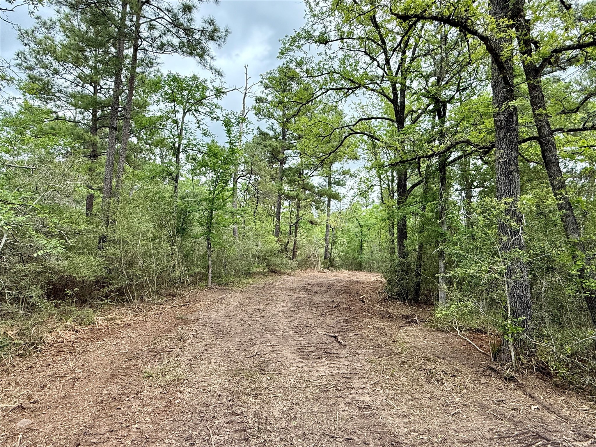 10+/- Acres Round Prairie Rd Property Photo 1
