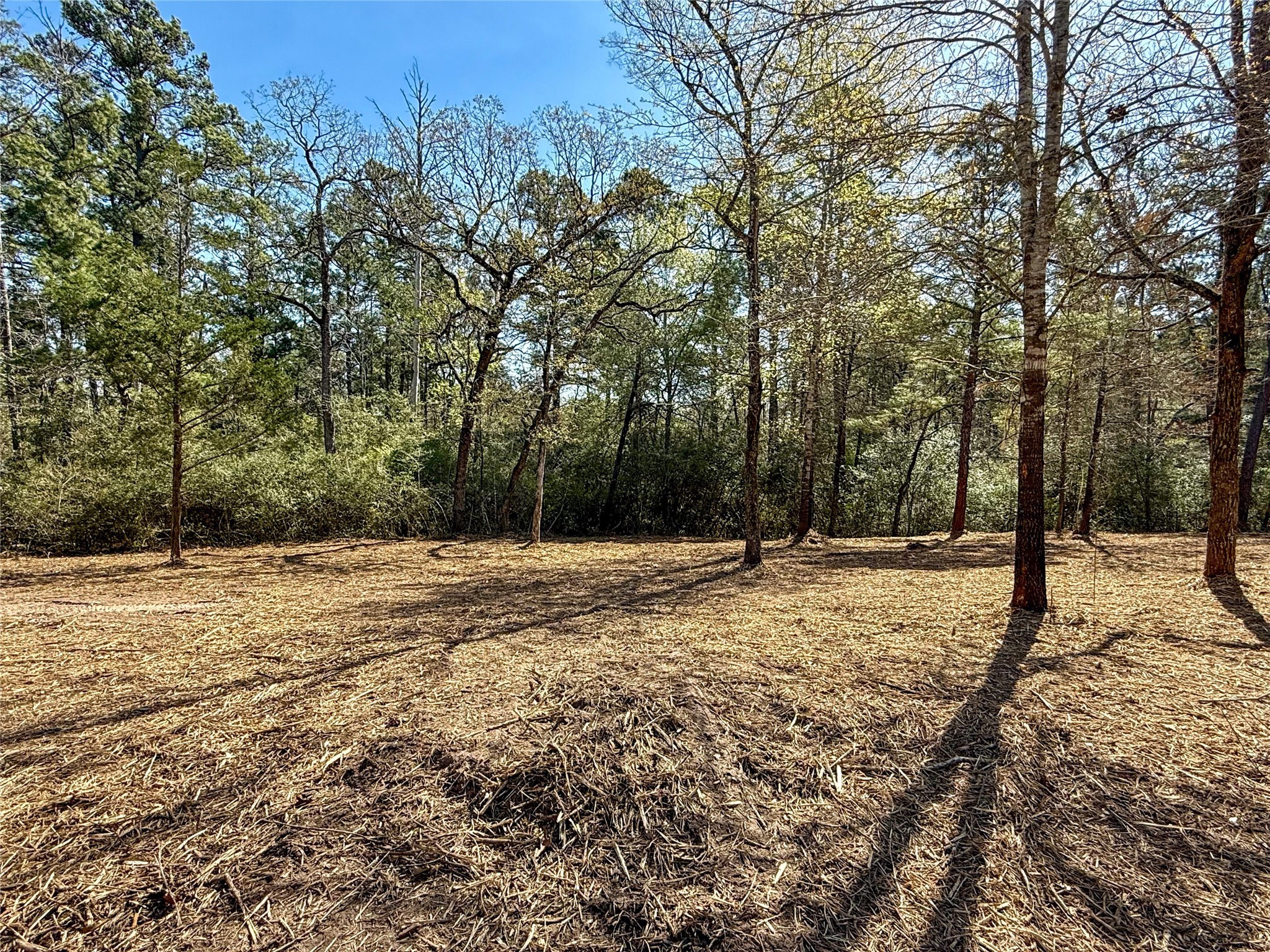 10+/- Acres Round Prairie Rd Property Photo 3
