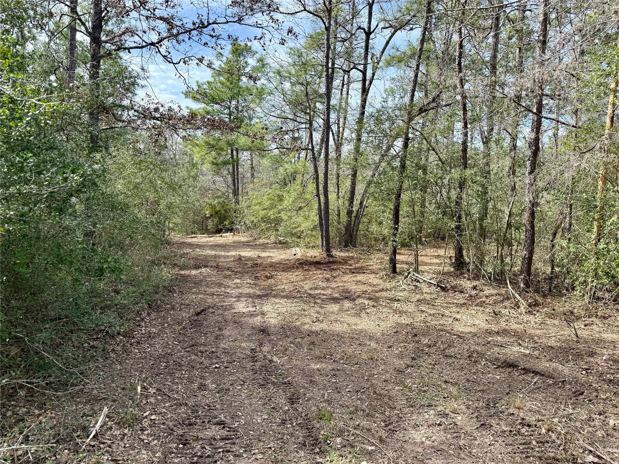 10+/- Acres Round Prairie Rd Property Photo 4