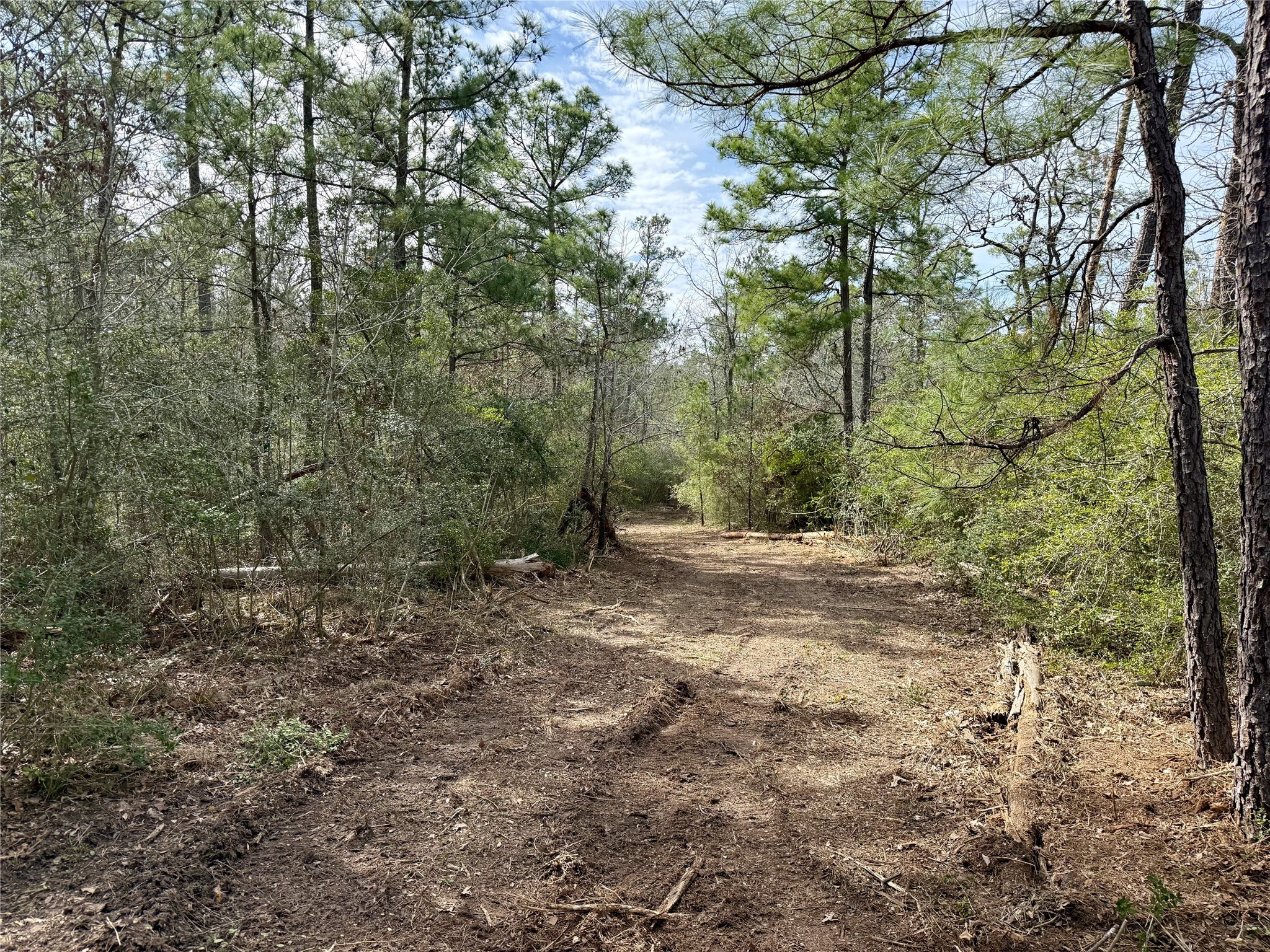 10+/- Acres Round Prairie Rd Property Photo 6