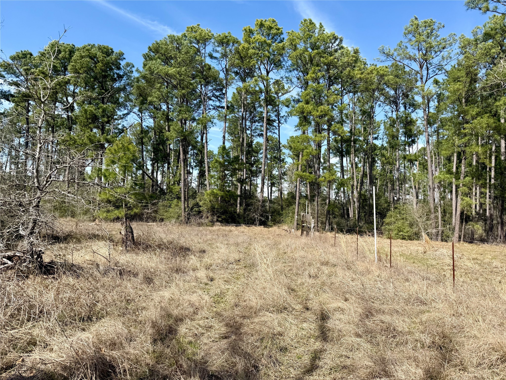 10+/- Acres Round Prairie Rd Property Photo 8